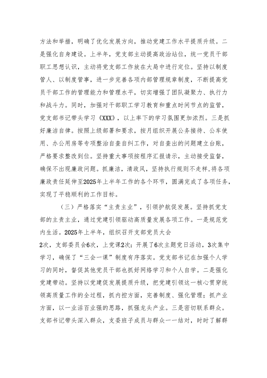 2025年上半年党支部工作总结暨下半年工作计划.docx_第3页