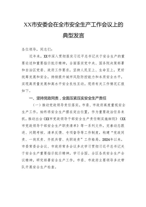 市安委会在全市安全生产工作会议上的典型发言.docx