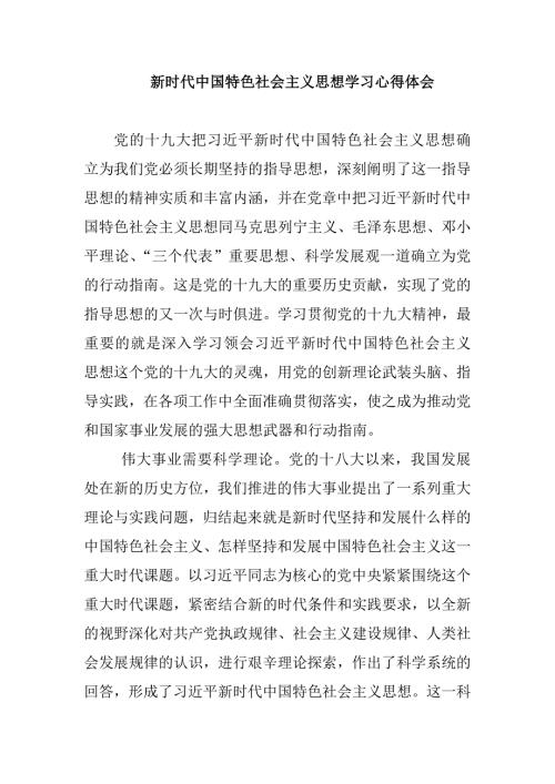 新时代中国特色社会主义思想学习心得体会.doc