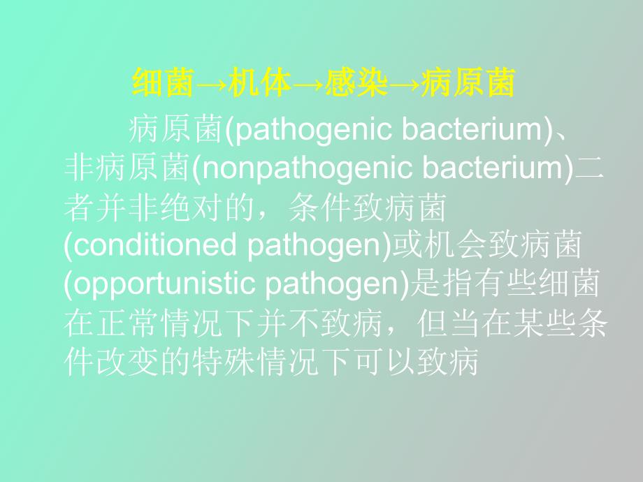 微生物的感染与免疫.ppt_第2页