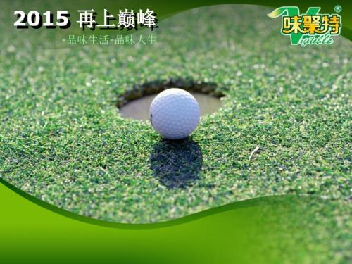 快消品年终总结及未来规划.ppt
