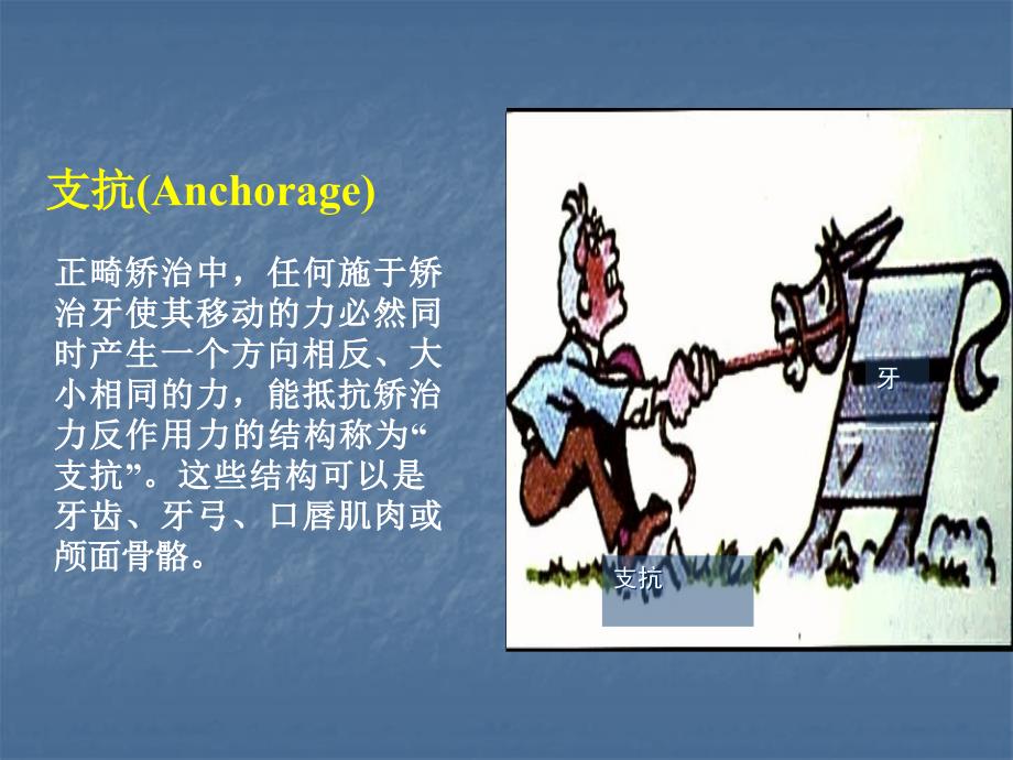 正畸治疗中的支抗控制南京医科大学.ppt_第3页