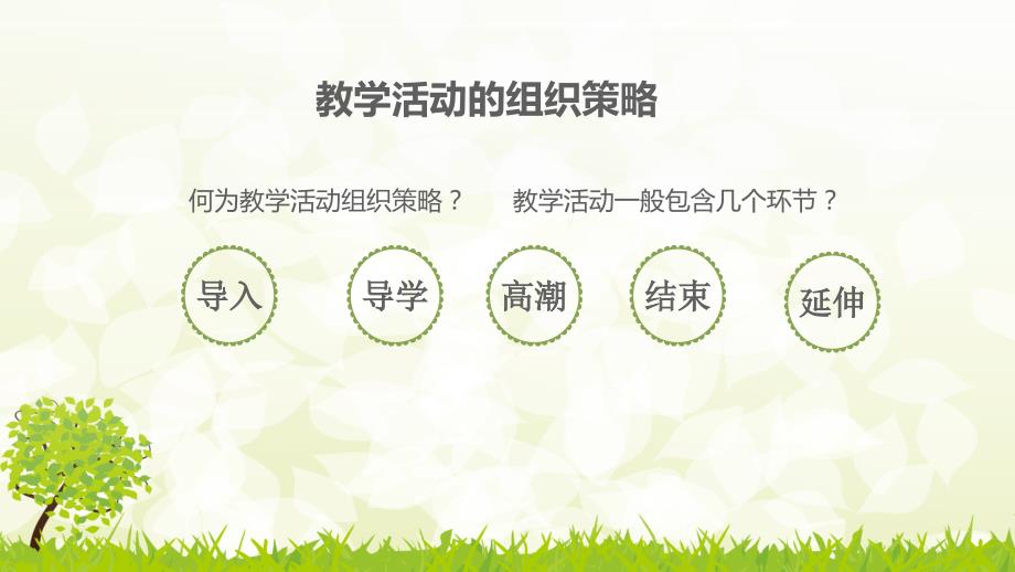 幼儿教学活动的组织策略.ppt_第2页