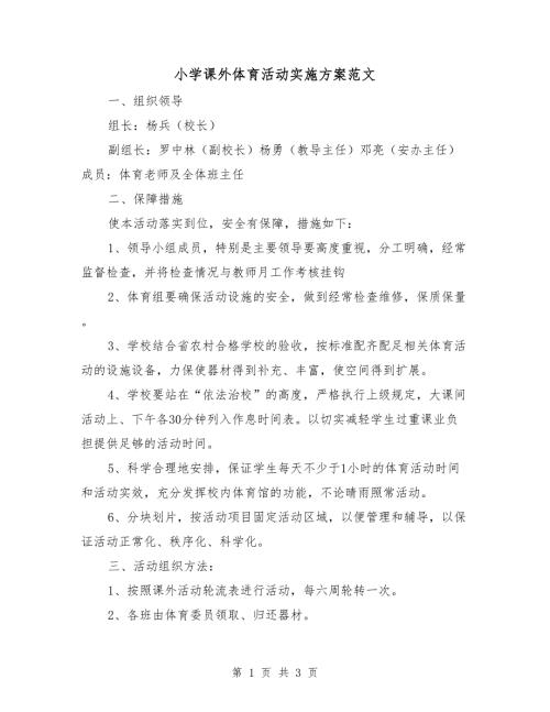 小学课外体育活动实施方案范文.doc