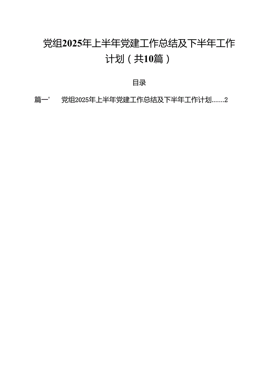 （10篇）党组2025年上半年党建工作总结及下半年工作计划范文.docx_第1页