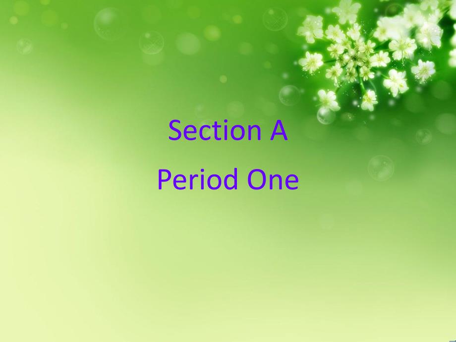 新目标英语七年级下Unit2SectionA.ppt_第2页