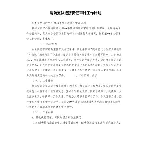 消防支队经济责任审计工作计划.docx