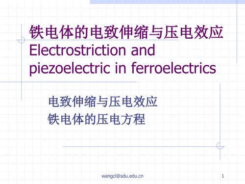 电致伸缩PPT课件.ppt