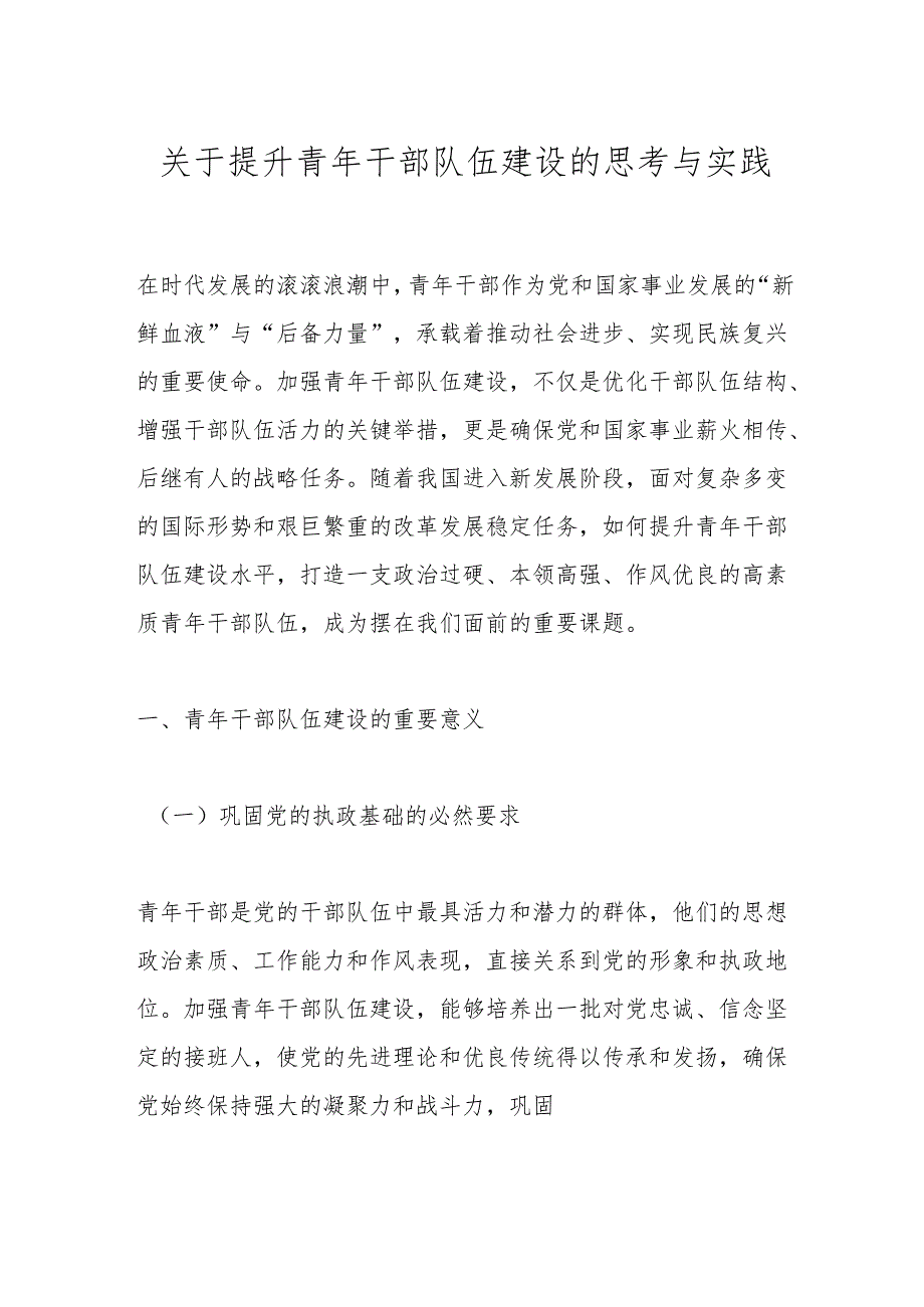 关于提升青年干部队伍建设的思考与实践.docx_第1页