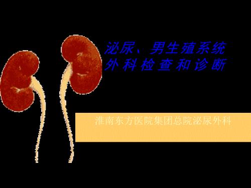 泌尿外科总论.ppt