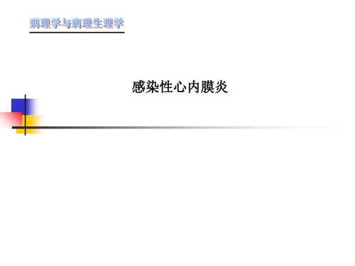 感染性心内膜炎PPT课件.ppt