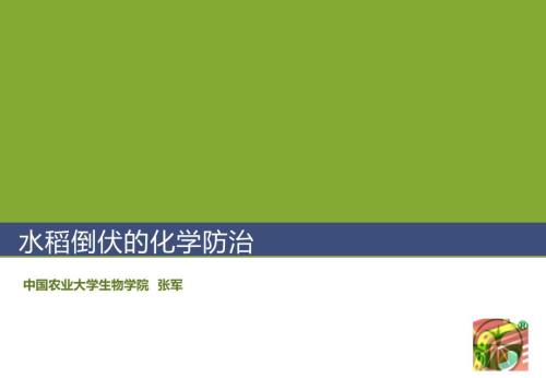 水稻倒伏的化学控制PPTminimizer.ppt
