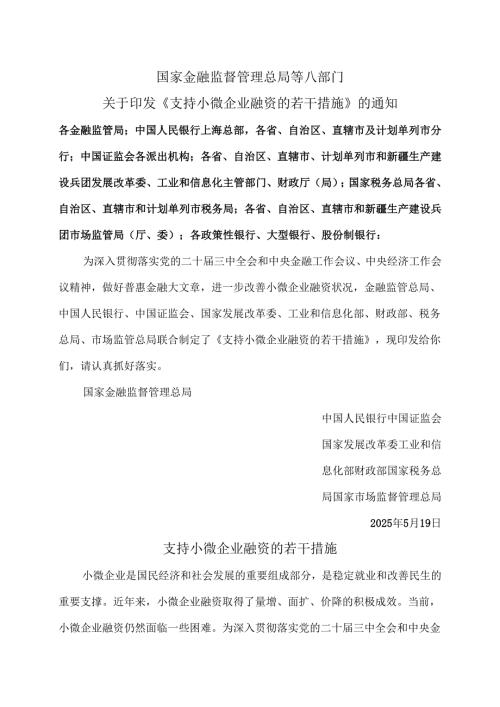 支持小微企业融资的若干措施（2025年）.docx