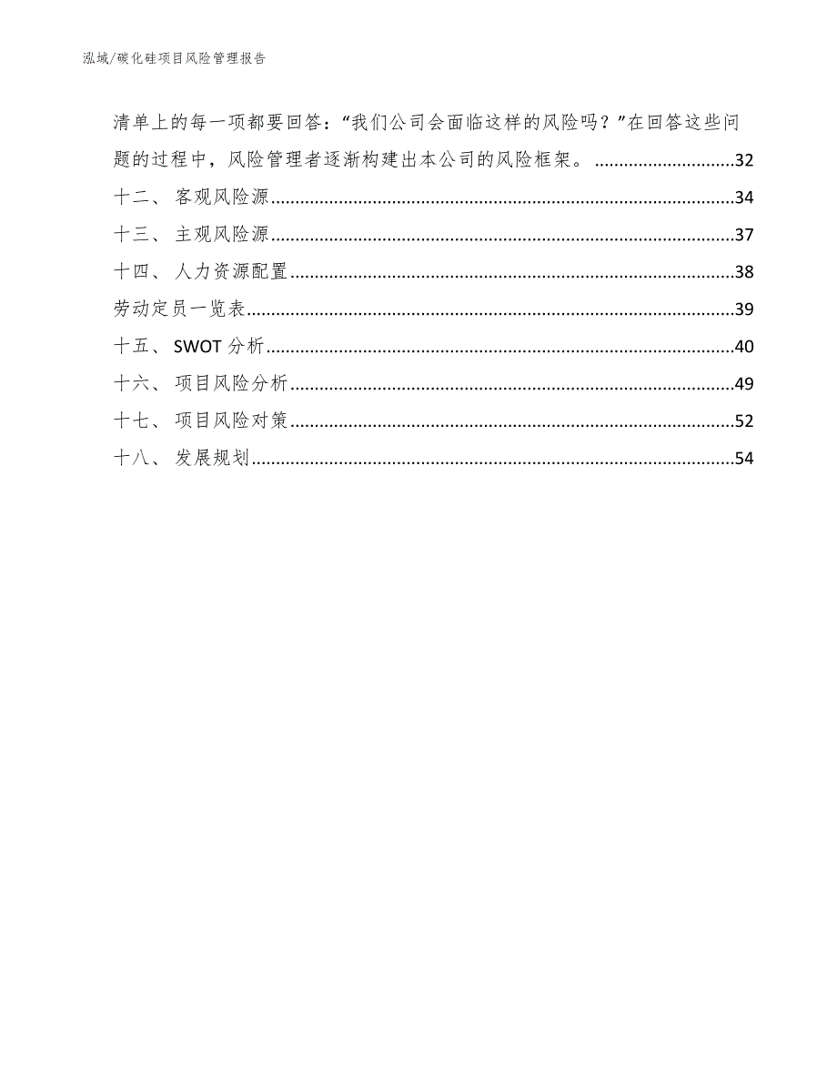 碳化硅项目风险管理报告范文.docx_第2页
