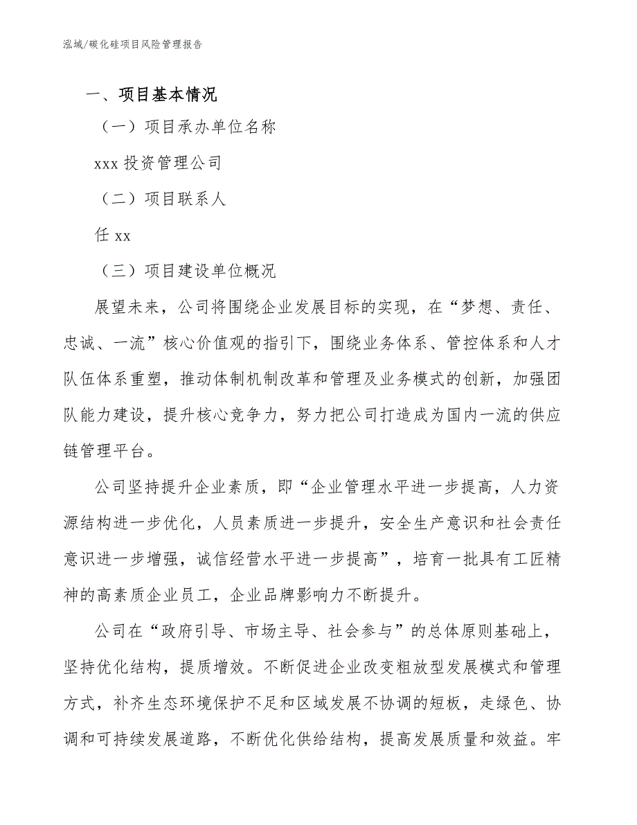 碳化硅项目风险管理报告范文.docx_第3页