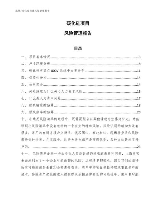 碳化硅项目风险管理报告范文.docx