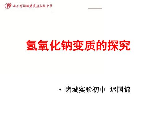 氢氧化钠变质的探究ppt课件.ppt