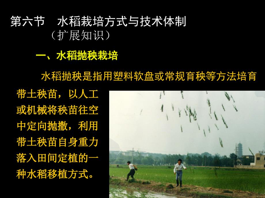 水稻栽培学水稻6水稻栽培方式与技术体制.ppt_第1页
