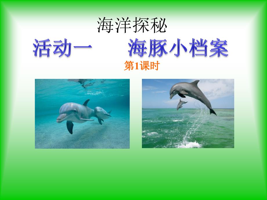 小学五年级上册综合实践5.1海豚小档案16张ppt.ppt_第2页