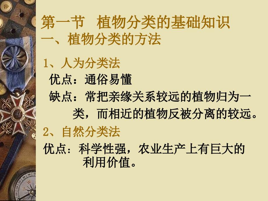植物分类基础知识PPT课件.ppt_第2页