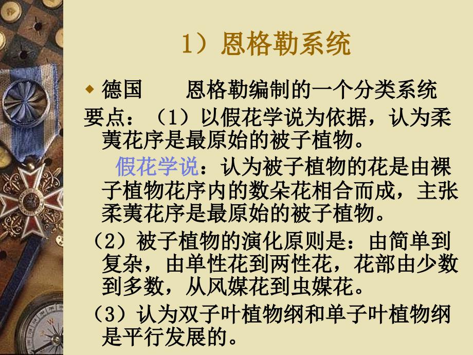 植物分类基础知识PPT课件.ppt_第3页