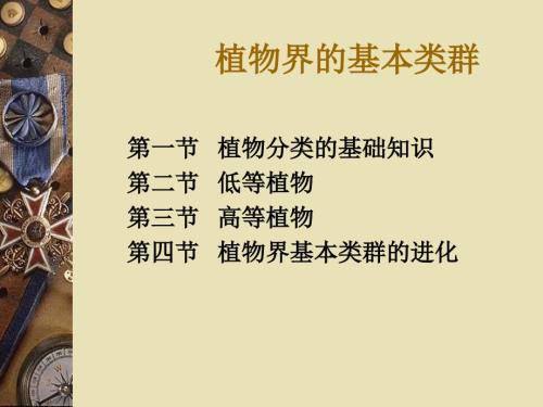 植物分类基础知识PPT课件.ppt