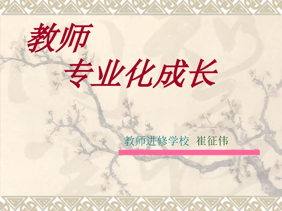 教师专业成长PPT课件.ppt_第3页
