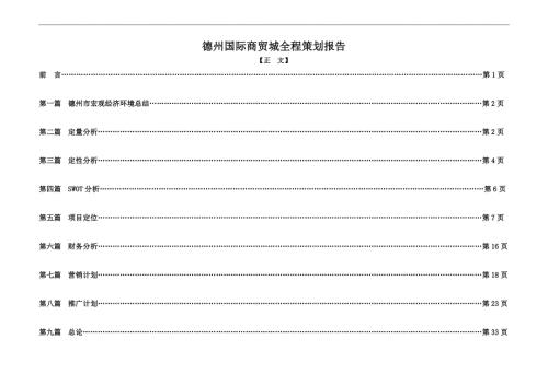 德州国际商贸城全程策划报告34页.doc