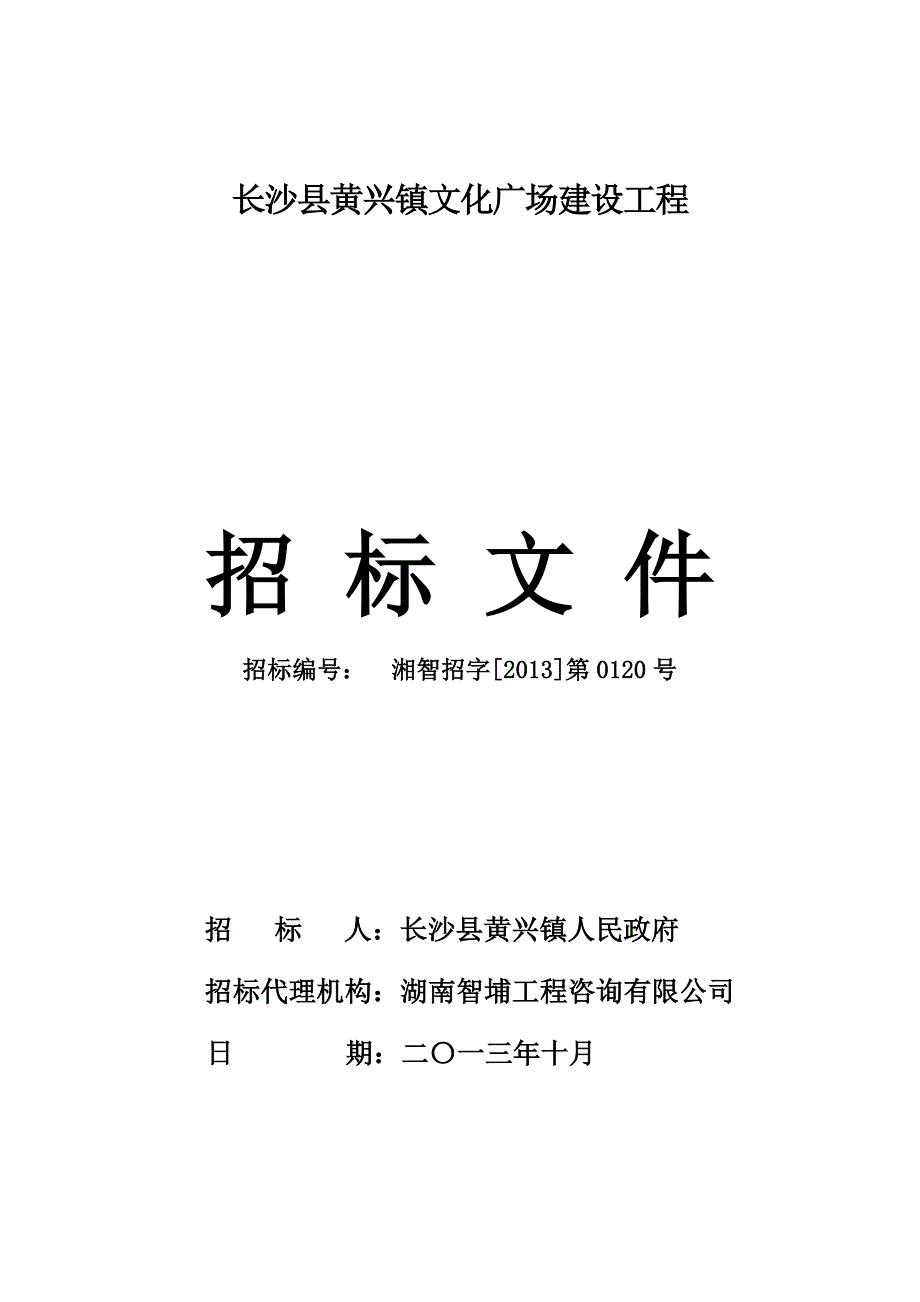 湖南某文化广场建设工程招标文件.doc_第1页