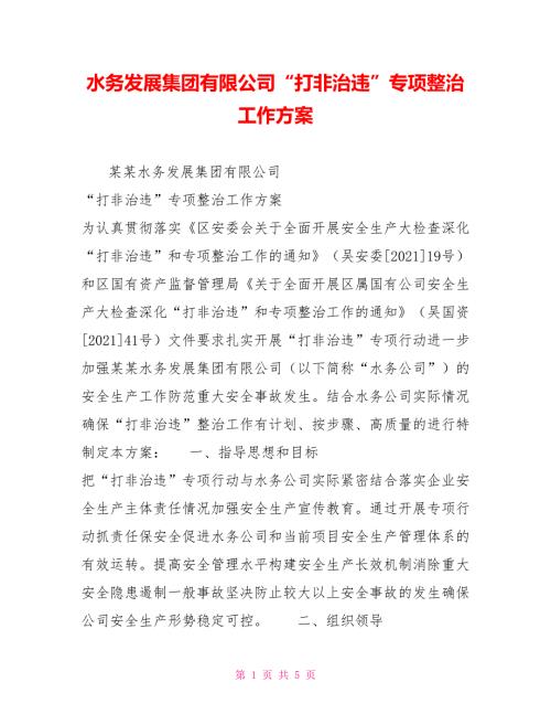 水务发展集团有限公司打非治违专项整治工作方案.doc