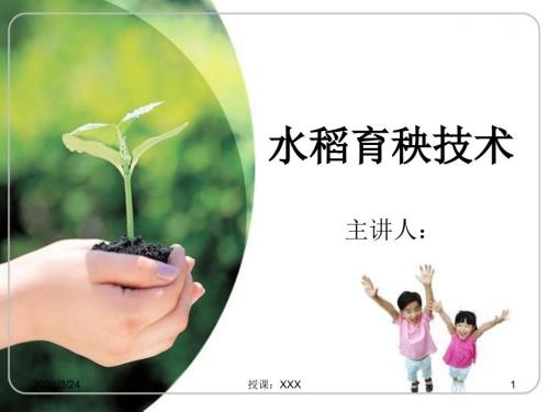 水稻育秧技术PPT课件.ppt