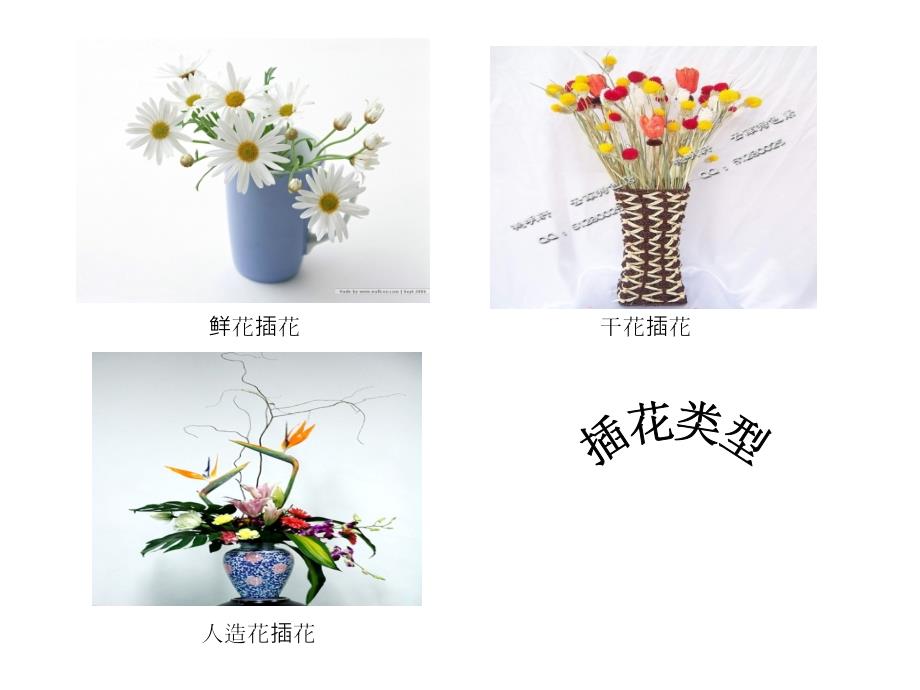 插花艺术PPT课件.ppt_第3页