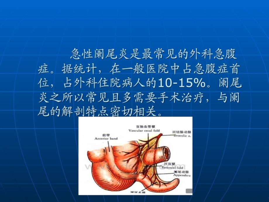 急性阑尾炎的ct诊断.ppt_第2页