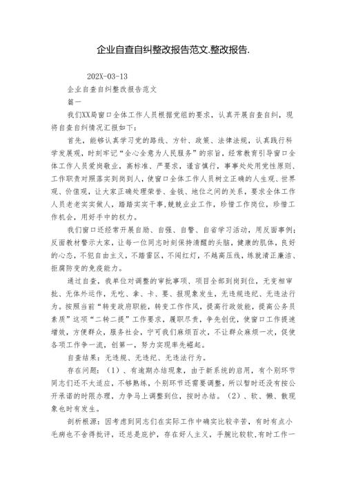 企业自查自纠整改报告范文整改报告.docx