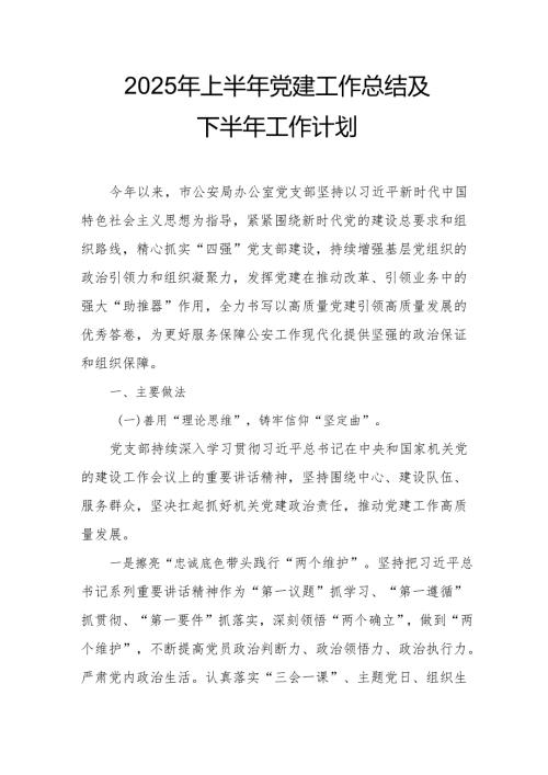 开展2025年上半年《党建工作总结》及下一步工作打算（4份）_50.docx