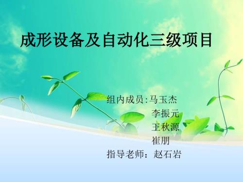 成形设备及自动化三级项目.ppt