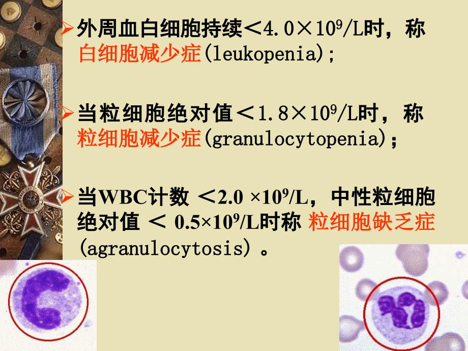白细胞减少症PPT课件.ppt_第3页