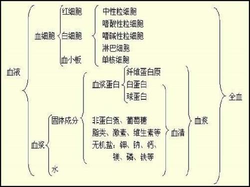 白细胞减少症PPT课件.ppt