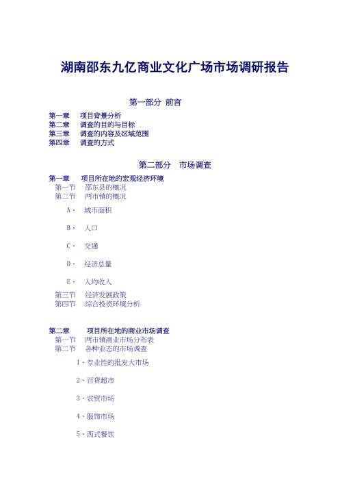 湖南邵东九亿商业文化广场市场调研报告.doc