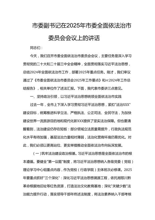市委副书记在2025年市委全面依法治市委员会会议上的讲话.docx