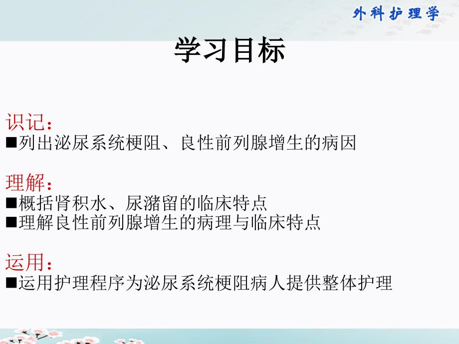 泌尿系统梗阻病人的护理.ppt_第2页