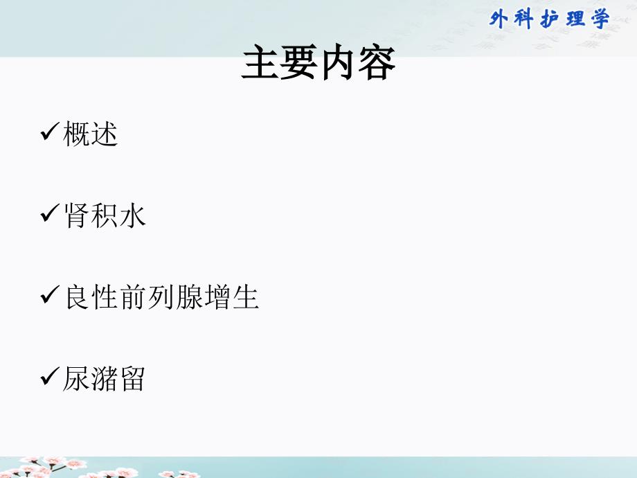 泌尿系统梗阻病人的护理.ppt_第3页