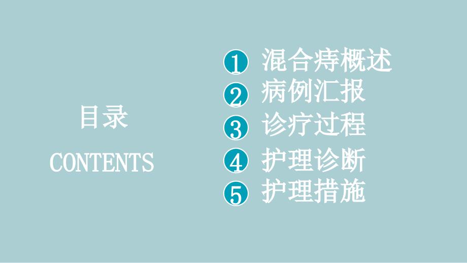 混合痔护理查房.pptx_第2页