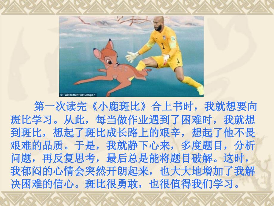 小鹿斑比阅读分享.ppt_第3页