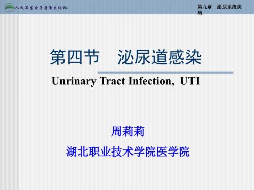 泌尿道感染PPT课件.ppt