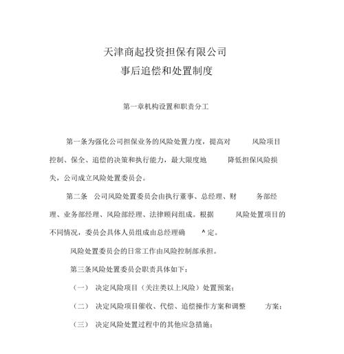 担保公司代偿处置办法.doc