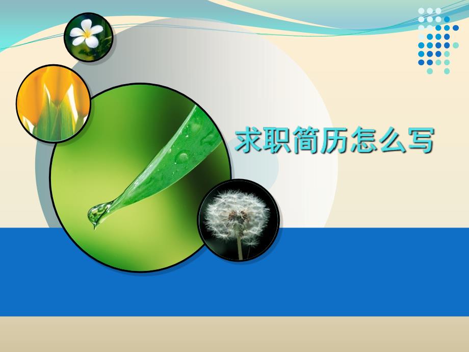 求职简历怎么写PPT共31张.ppt_第1页