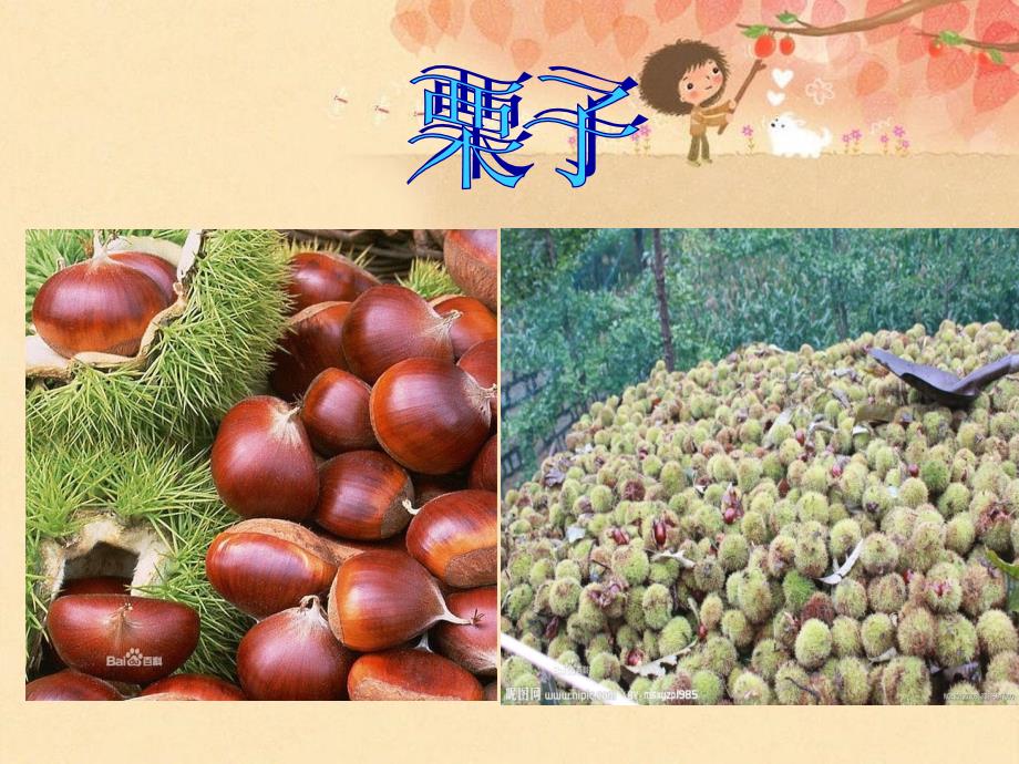 湘艺版音乐六上第4课栗子大丰收ppt课件2.ppt_第2页