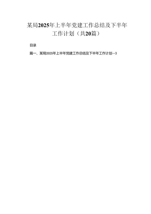 某局2025年上半年党建工作总结及下半年工作计划（共20篇）.docx