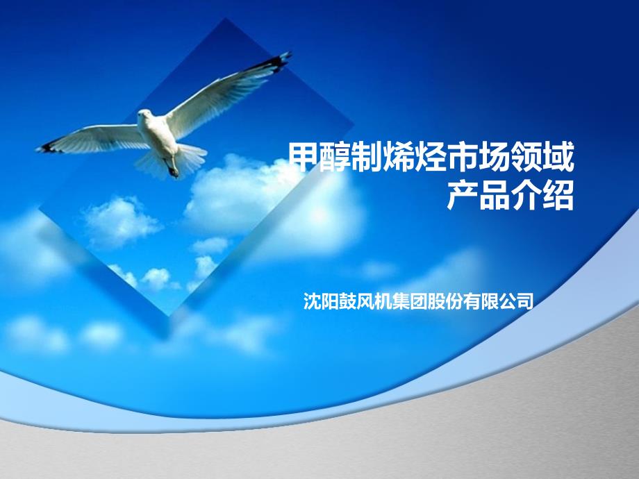 沈鼓集团MTO市场领域产品介绍.ppt_第1页
